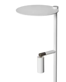 Stojacie lampy Carpyen LED lampa Kelly, svetlá nastaviteľné biela/nikel