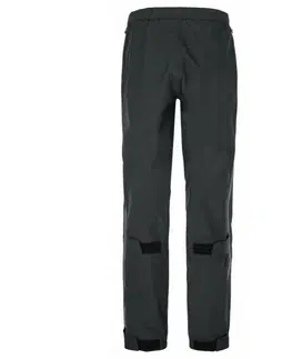 Pánské nohavice Dámske membránové nohavice Kilpi ALPIN-W čierne 34