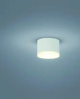Stropné svietidlá Helestra Helestra Pala – nadstavbové LED downlight biele