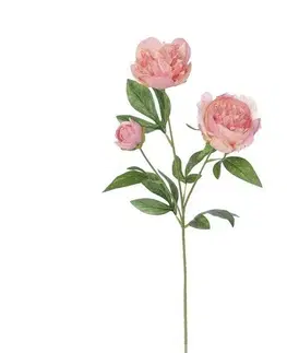 Kvety Umelá pivonka, 67 cm, ružová