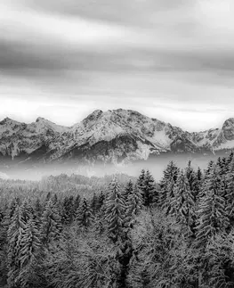 Čiernobiele tapety Fototapeta čiernobiele zamrznuté hory