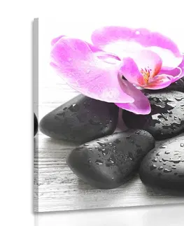Obrazy Feng Shui Obraz krásna súhra kameňov a orchidey