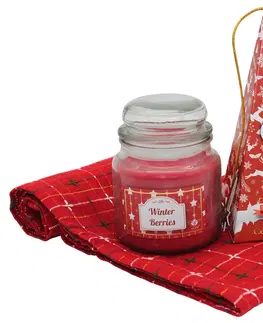 Dekoratívne sviečky Home Elements Vianočný vonný set Winter Berries 3