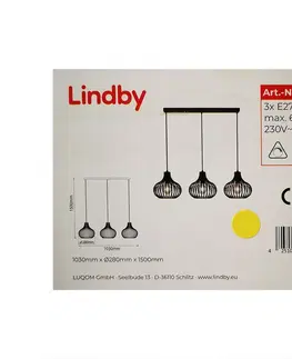 Svietidlá Lindby Lindby - Luster na lanku FRANCES 3xE27/60W/230V 
