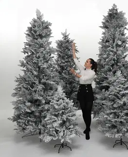 Vianočné stromčeky Vianočný stromček, zasnežený, 150 cm, MARAVEL TYP 2