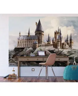 Tapety Detská fototapeta Harry Potter Hogwarts 252 x 182 cm, 4 diely