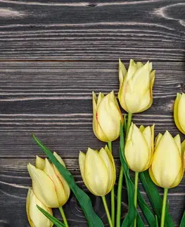 Obrazy kvetov Obraz očarujúce žlté tulipány na drevenom podklade
