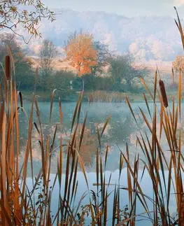 Obrazy prírody a krajiny Obraz rieka uprostred jesennej prírody