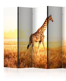 Paravány Paraván giraffe - walk Dekorhome 225x172 cm (5-dielny)