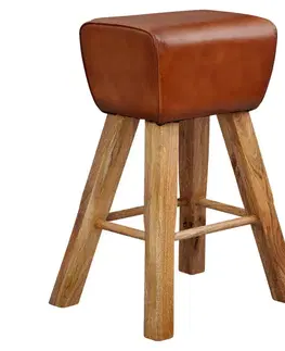 Barové stoličky Barová Stolička Barhocker Koža Hnedá