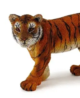 Hračky - figprky zvierat COLLECTA - Tiger Mláďa Stojace