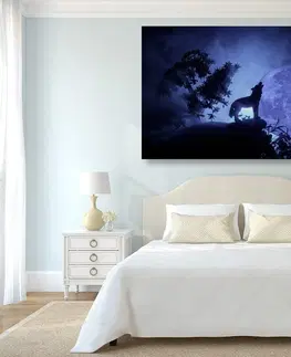 Obrazy zvierat Obraz vlk v splne mesiaca