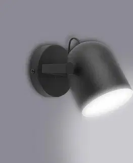 Moderné lampy do obývačky Nástenná lampa Spectra black 2609 K1