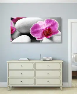Obrazy Feng Shui Obraz kvety orchidey na bielych kameňoch