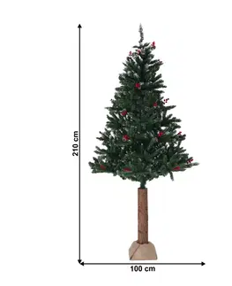 Vianočné stromčeky Vianočný stromček so šiškami na pníku, posnežený, 210 cm, PNIK TYP 3