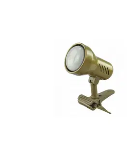 Lampy  Lampa s klipom KM 1xE14/24W/230V zlatá 
