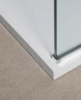 Sprchové dvere POLYSAN - MODULAR SHOWER stena na inštaláciu na múr, jednodielna, 1000 mm MS1-100