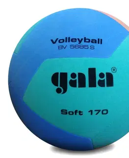 Volejbalové lopty GALA BV5685S Soft