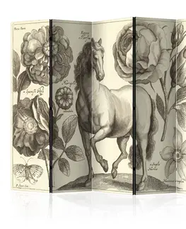 Paravány Paraván Horse Dekorhome 225x172 cm (5-dielny)