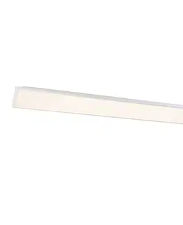 Stropne svietidla LED panel pre systémový strop biely obdĺžnikový vrátane LED stmievateľný v Kelvinoch - Pawel