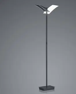 Stojacie lampy HELL LED stojacia lampa Dual CCT, stmievateľná, čierna