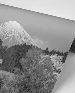 Tapety príroda Fototapeta hora Fuji v čiernobielom