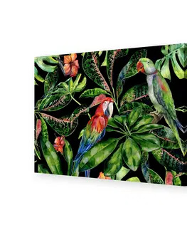 Obrazy Obraz na plátne Tropical Birds