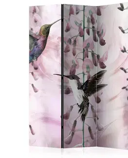 Paravány Paraván Flying Hummingbirds (Pink) Dekorhome 135x172 cm (3-dielny)