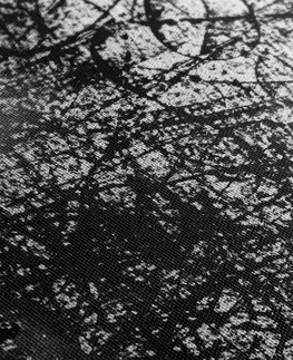 Čiernobiele obrazy Obraz žena s abstraktnými prvkami
