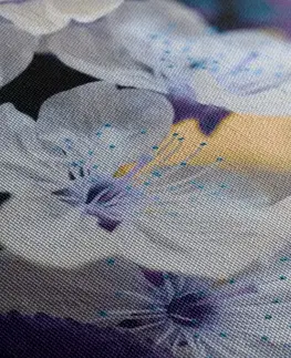 Obrazy kvetov Obraz rozkvitnutá vetvička čerešne