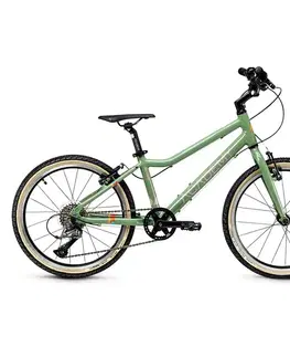 Bicykle Detský bicykel Academy Grade 4 20" zelená - 11,5" (115-135 cm)