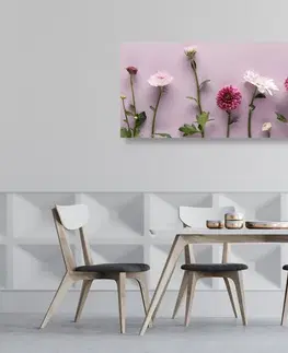Obrazy kvetov Obraz kompozícia ružových chryzantém