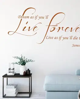 Nálepky na stenu Samolepka citát - James Dean