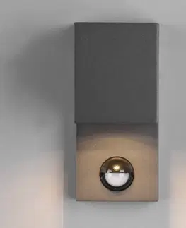 Vonkajšie nástenné svietidlá so senzorom Trio Lighting Svietidlo Roya 1-pl., snímač hranaté antracitová