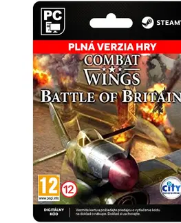 Hry na PC Combat Wings: Battle of Britain [Steam]