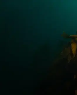 potápanie Potápačská maska Calibro Cressi na podmorský lov bez prístroja zelená