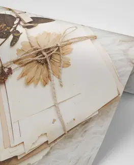 Samolepiace tapety Samolepiaca fototapeta zbierka starých listov