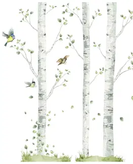 Nálepky na stenu Detské nálepky na stenu - Brezy s vtáčikmi