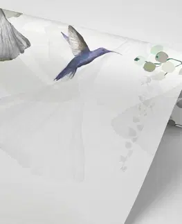 Samolepiace tapety Samolepiaca tapeta listy s kolibríkmi v šedo-zelenom