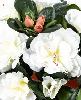 Kvety Umelá kvetina Azalka v kvetináči biela, 21 x 10 x 10 cm