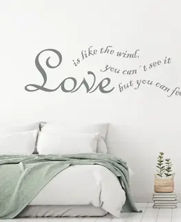Nálepky na stenu Nálepky - Love is like the wind...