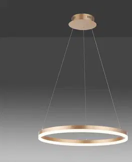 Závesné svietidlá Paul Neuhaus LED závesné svietidlo Titus okrúhle Ø60cm mosadzná