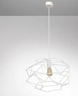 Moderné lampy do obývačky Lampa Cage 2697/Z-B-1 Bi Lw1