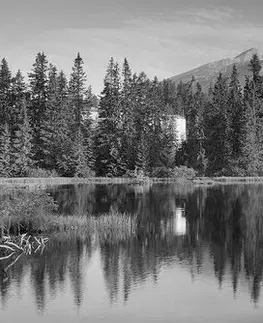 Čiernobiele obrazy Obraz nádherná panoráma hôr pri jazere v čiernobielom prevedení