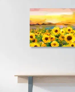 Obrazy kvetov Obraz slnečnicové pole