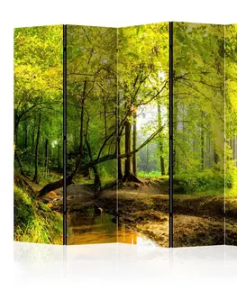 Paravány Paraván Forest Clearing Dekorhome 225x172 cm (5-dielny)