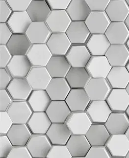Dekoračné panely Sklenený panel 60/60 Shield Grey Esg