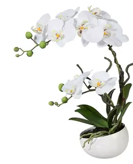 Kvety Umelá Orchidea v kvetináči biela, 42 cm 115812-40