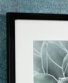 Obrazy Obraz Succulents II 40x50xcm