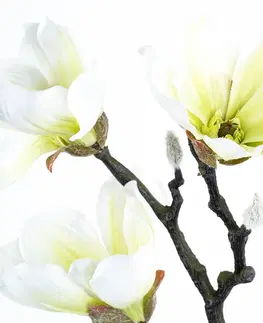 Kvety Umelá kvetina Magnólia biela, 55 cm